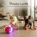 Pelota Loca™ – Juguete Interactivo Inteligente para Mascotas