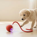 Pelota Loca™ – Juguete Interactivo Inteligente para Mascotas